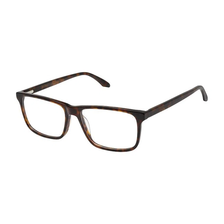 Aristar AR18667 Eyeglasses - view 3